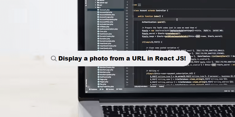 Coding Filters & deploy a photo url in react.js project details