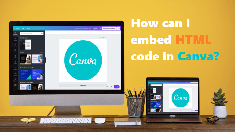 canva-experties using pro and default settings coding filters