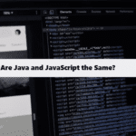 Are Java and JavaScript the Same coding filters