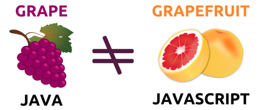 Are Java and JavaScript the Same coding filters