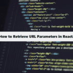 How to Retrieve URL Parameters in ReactJS at coding filters