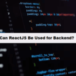 Can ReactJS Be Used for Backend Development coding filters